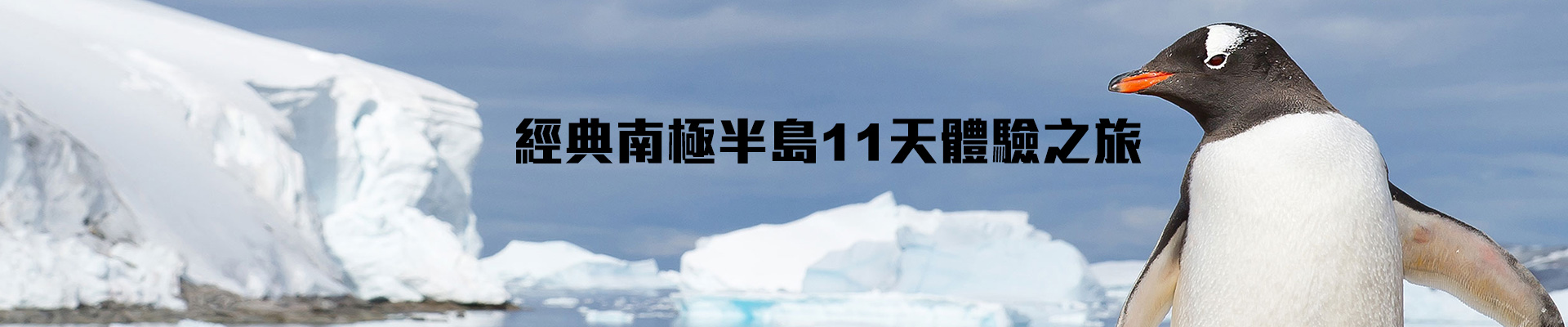 經典南極半島11天體驗之旅