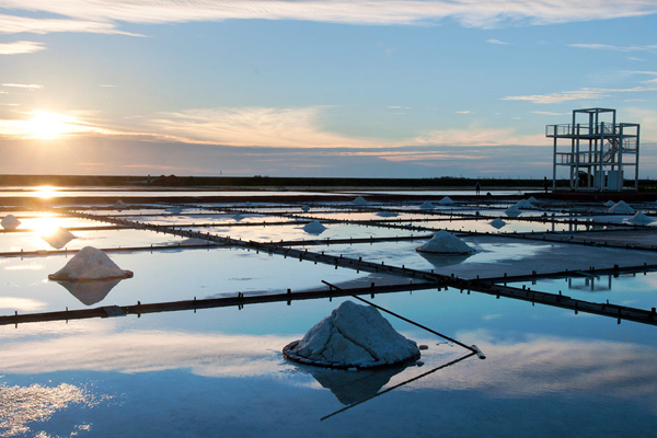 井仔腳瓦盤鹽田