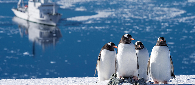 經典南極半島11天體驗之旅